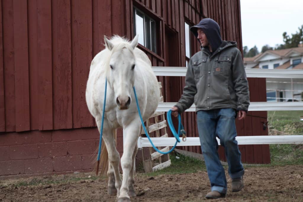 Volunteer walking a white horse at Renewing Hope Ranch for therapy and healing.