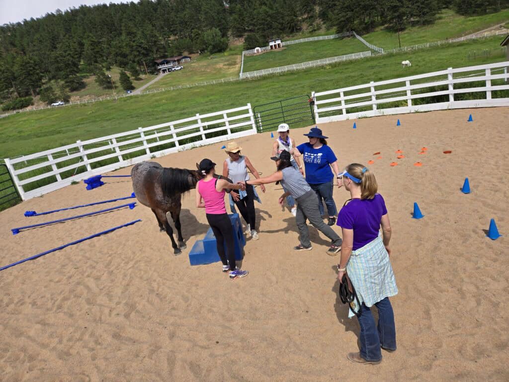 Group of people engaging in equine therapy with a horse at Renewing Hope Ranch.